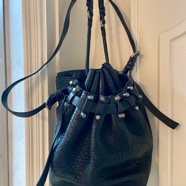 알렉산더 왕(Alexander Wang)디에고(Diego) 버킷백