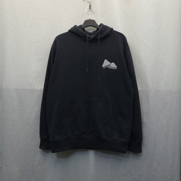 팔라스 뇌하수체 후드티