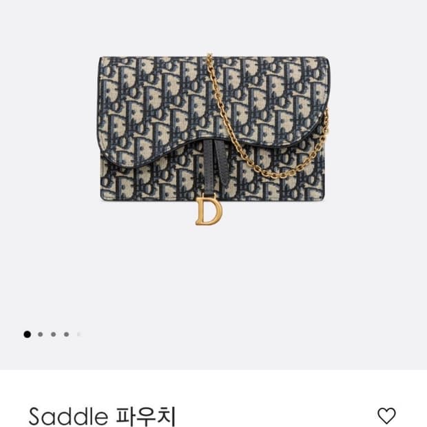 디올 새들 woc체인백