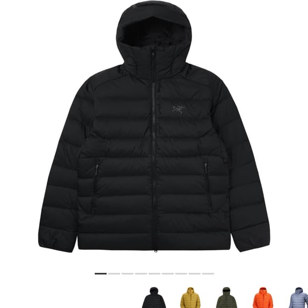 아크테릭스 토륨 L