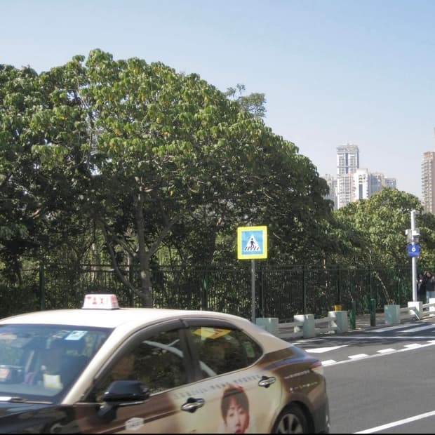 캐논 익서스 90IS 미우미우 디카 작례O