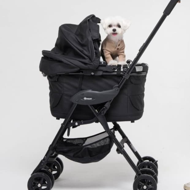 콤펫 미리미리 카시트 유모차 퓨어블랙