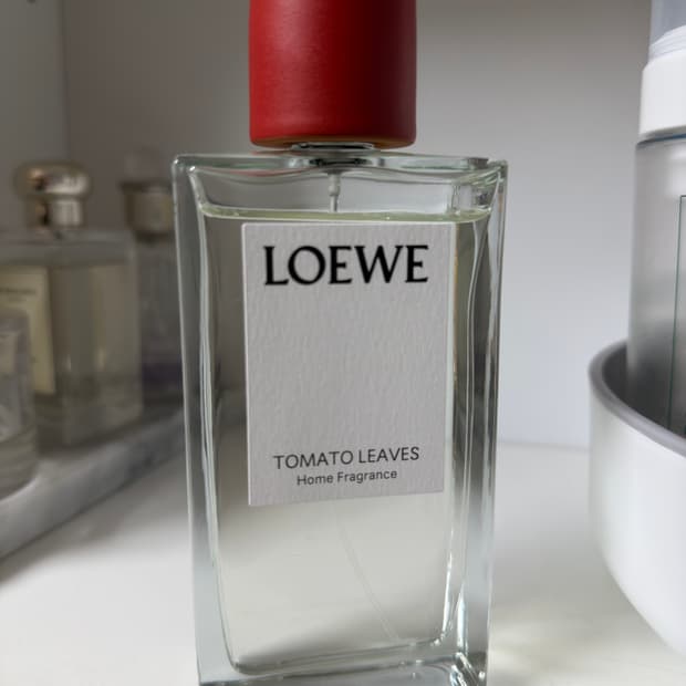 로에베 토마토 잎 홈 프래그랜스