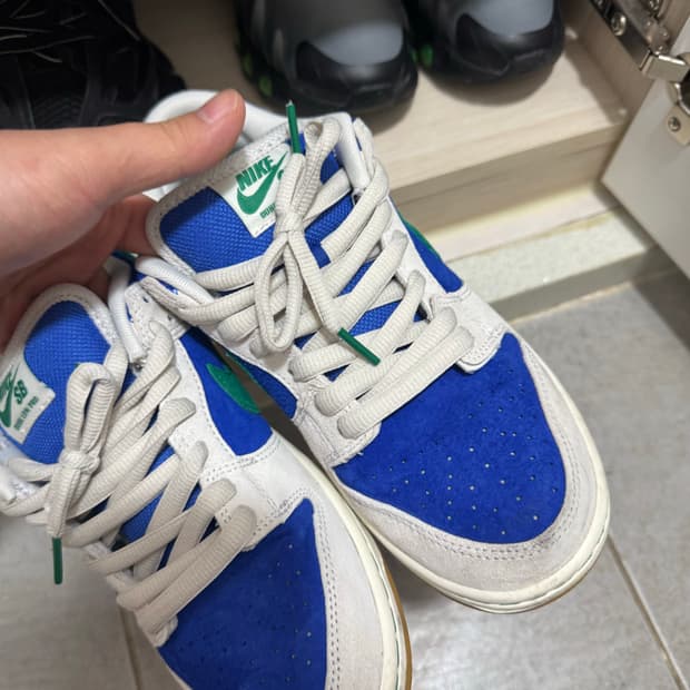 나이키 sb 덩크로우 블루 260