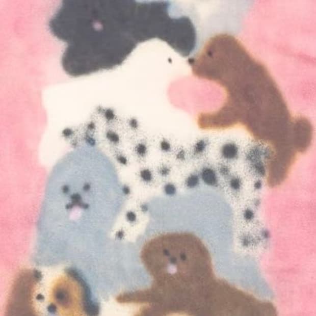 soso******님 개인결제창입니다