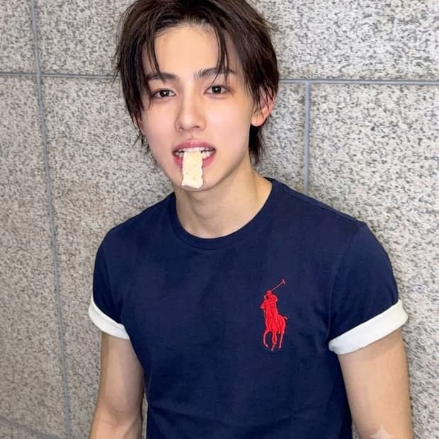 폴로 랄프로렌 폴로 빅포니 네이비 티셔츠