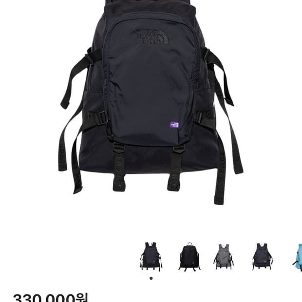 노스페이스 퍼플라벨 코듀라 나일론 데이팩 가방