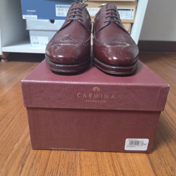 Carmina 버건디 윙팁 브로그