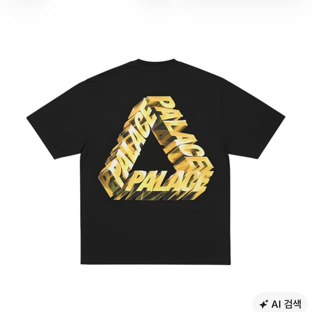 팔라스 폴리쉬드 P3 티셔츠 블랙 - 25FW