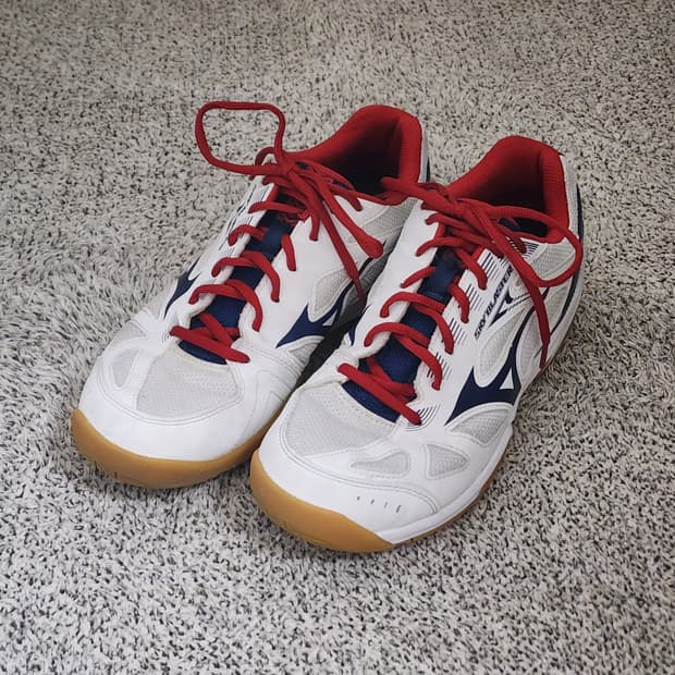 [260]미즈노 스카이블라스터