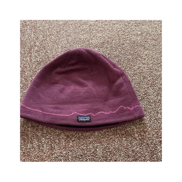 파타고니아 마운틴 비니