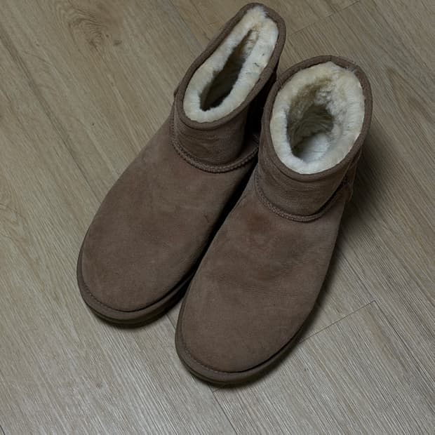 어그 클래식 미니 체스트넛 275