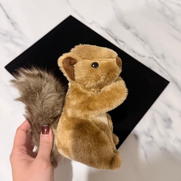 디스커버리 다람쥐 반려견/묘 장난감 인형(삑삑소리남)