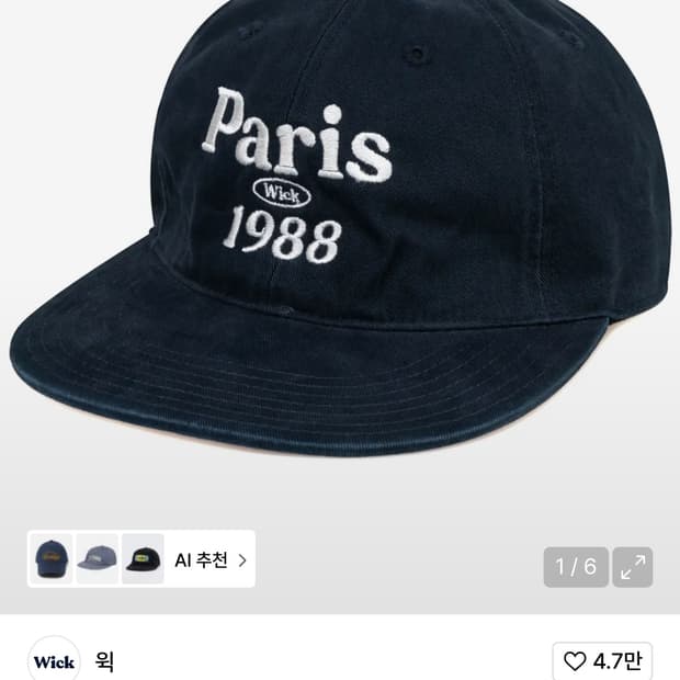 윅 / 파리 스냅백 / 네이비 / os