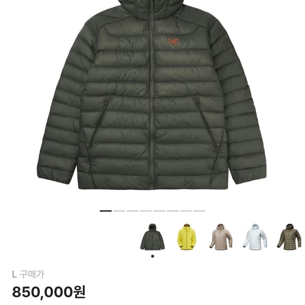 아크테릭스 세륨 후디 포리지 베르베 L 