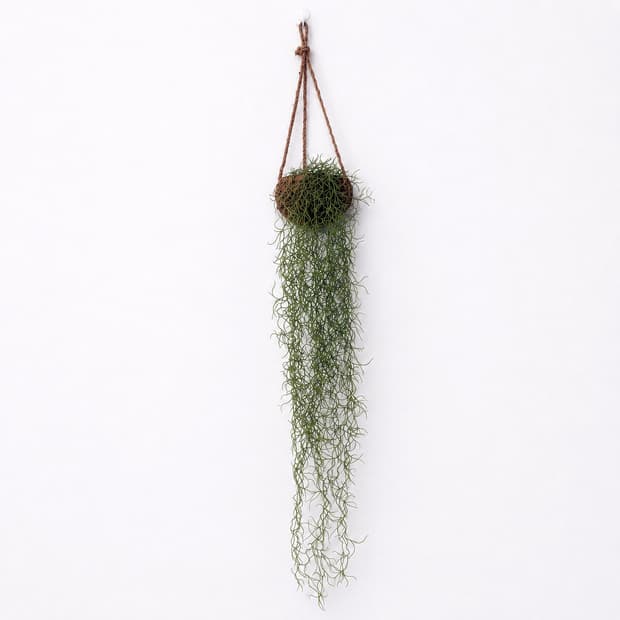 Tillandsia Hanging Plant (조화)