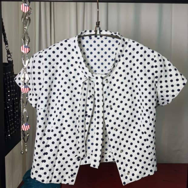 Polka Dot Tie-Neck Blouse