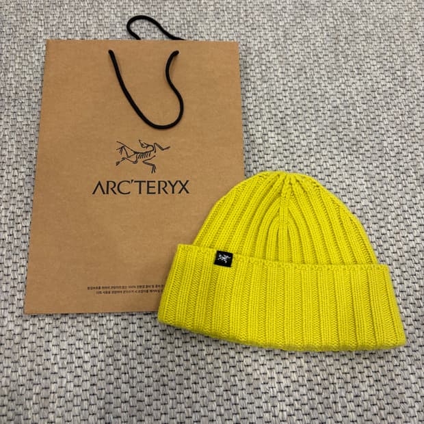 아크테릭스 울 비니