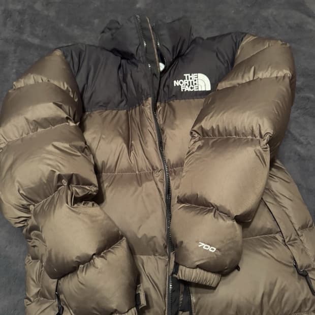 18FW 노스페이스 700 눕시 다운 자켓 밍크브라운