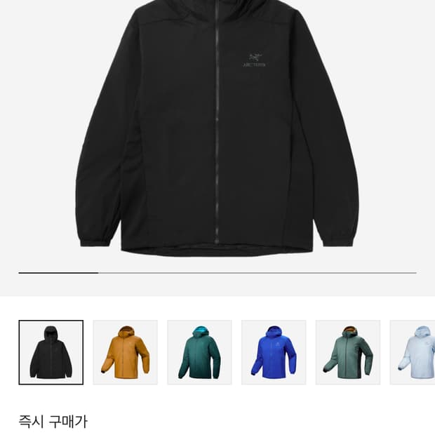 아크테릭스 아톰 후디 