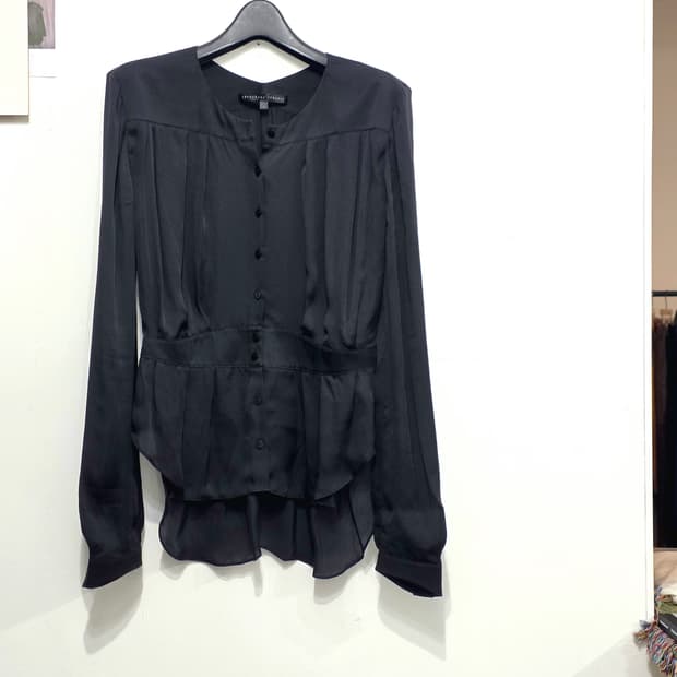 theyskens' theory sheer pleated blouse