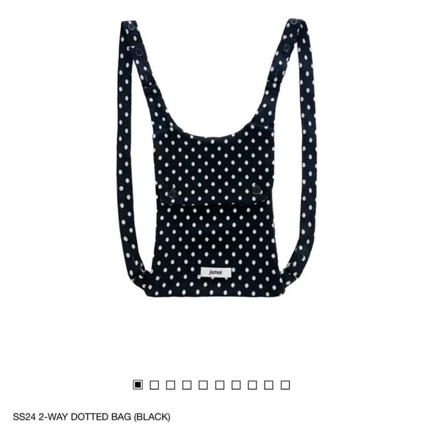 지초이 투웨이 도트백