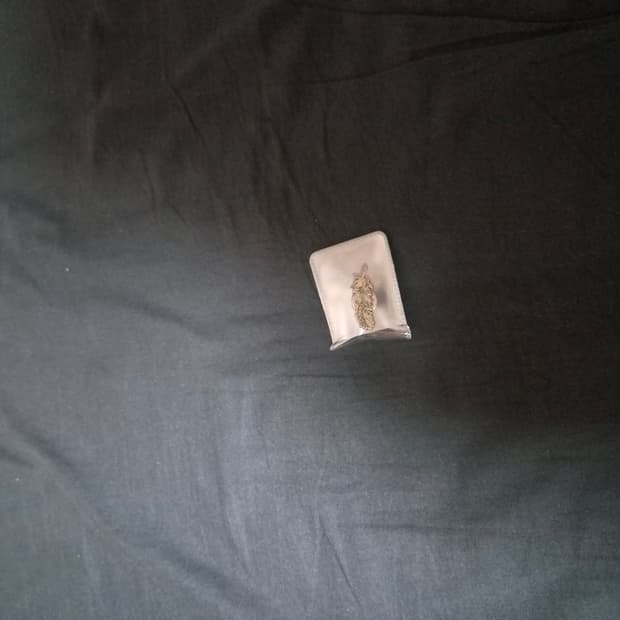 [os] 폴리테루 페더 뱃지