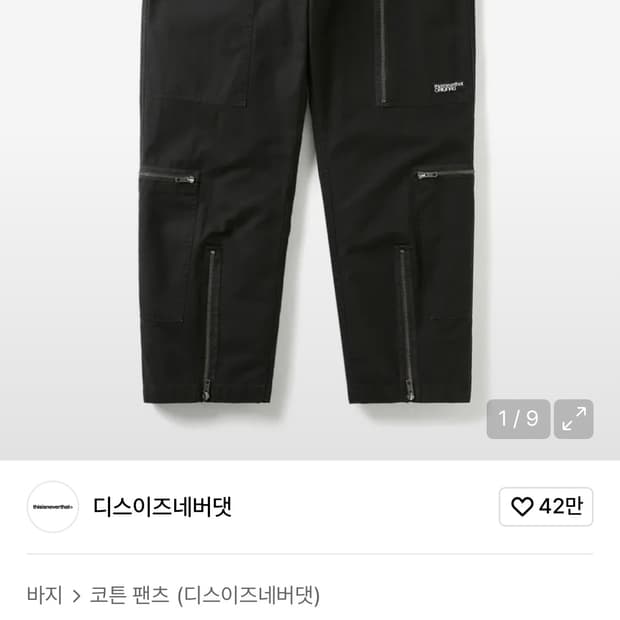 디스이즈네버댓 (FW21) Flight Pant Black 