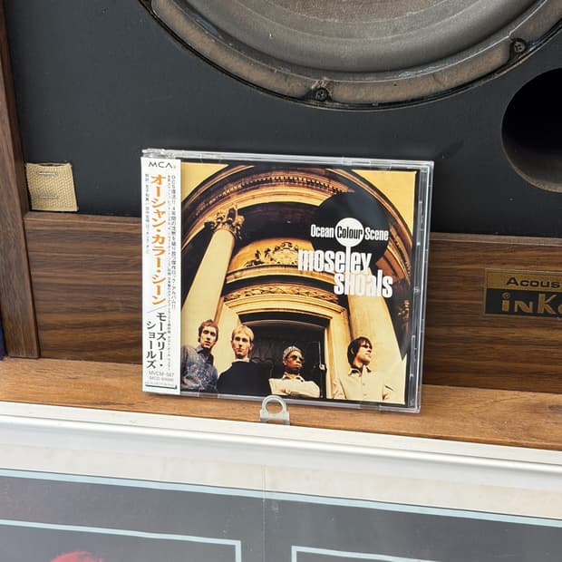  Ocean Colour Scene 