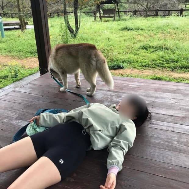 earthjigu 바이커쇼츠