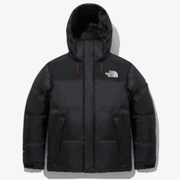 노스페이스 써밋 프로 다운 L 삽니다