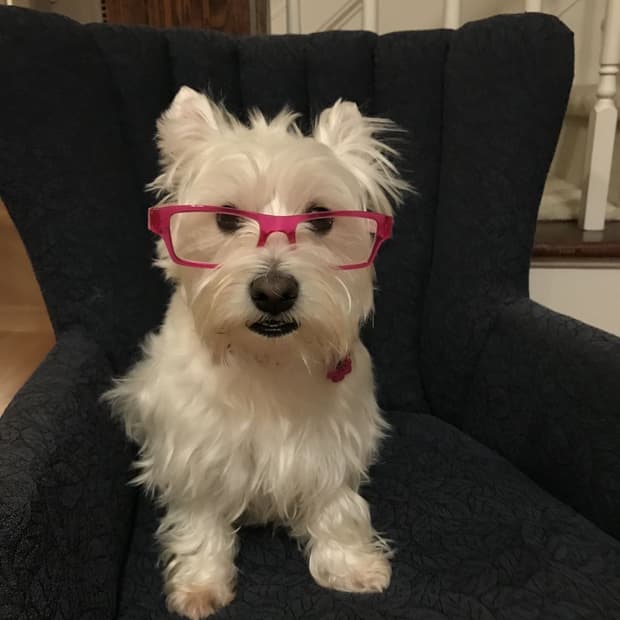 999 휴머니티 어드벤처 스톤 그레이 3사이즈 사요 ㅠㅠ