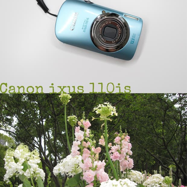 Canon ixus110is