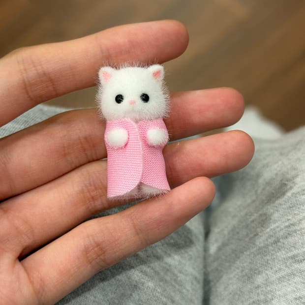 실바니안 패밀리 아기 핑크 페르시안 고양이