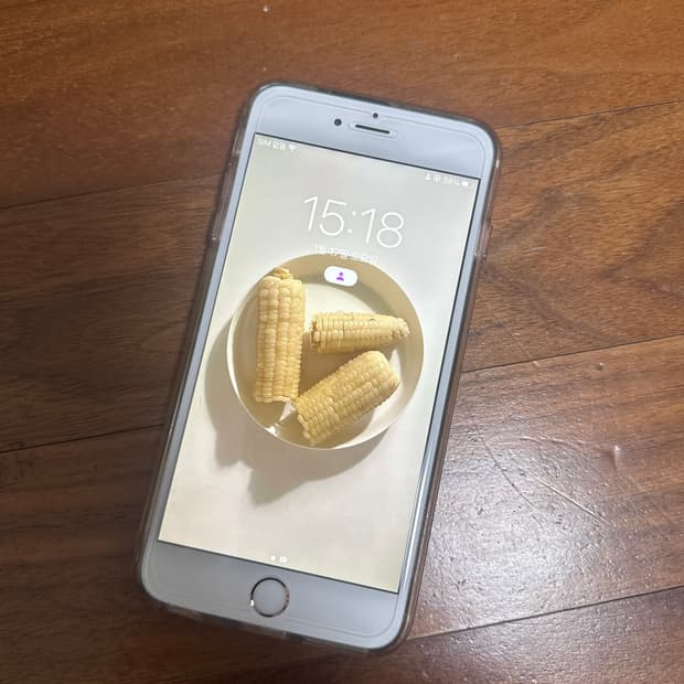 아이폰6S 플러스