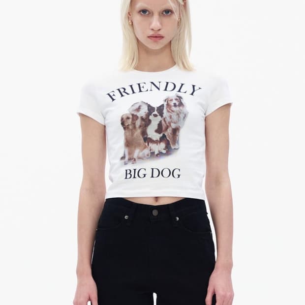 Theopen Product 더오픈프로덕트 빅도그 big dog 크롭티