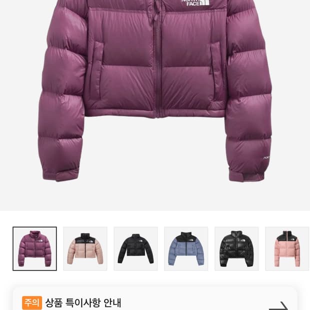 노스페이스 해외판 눕시 크롭 파이크 퍼플 M