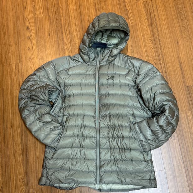 아크테릭스 남성 세륨lt 후디 디스토션 라지 판매합니다