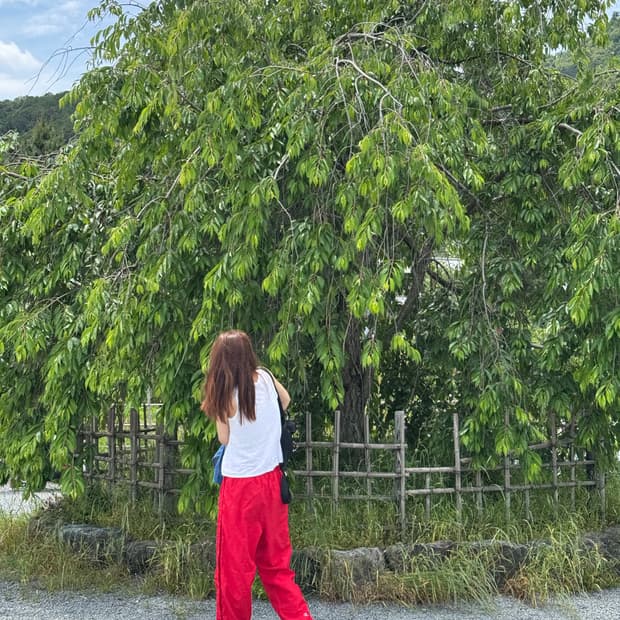빈티지 챔피온 레드 스냅 나일론팬츠