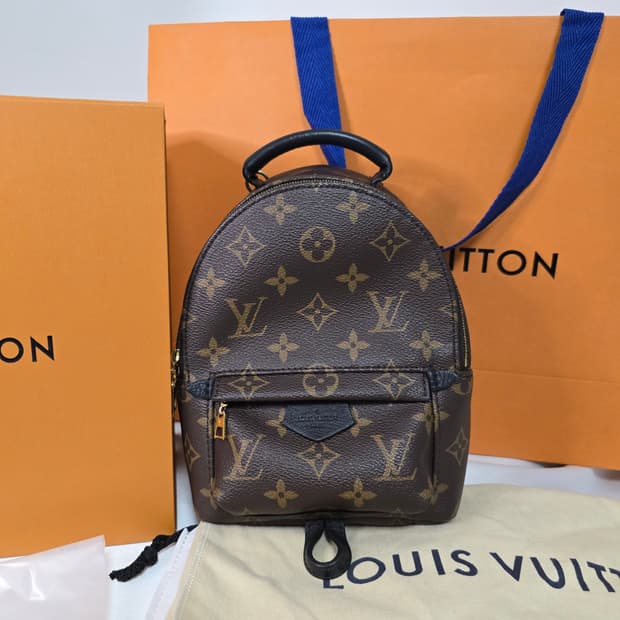 루이비통 팜 스프링스 미니 (M44873)