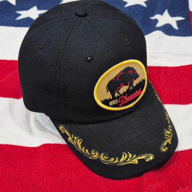 PLEASURES 플레져스 볼캡 모자 블랙