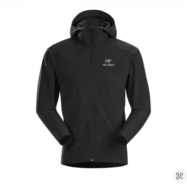 [L] 아크테릭스 감마 SL 후디 블랙