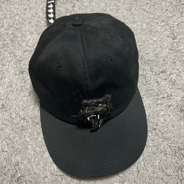 카시라 레어 볼켑 