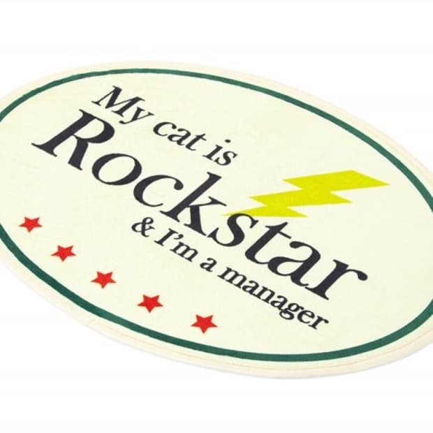 조거쉬 My cat is Rockstar Mini Rug (Ivory)