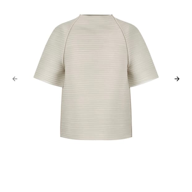 Pleats Raglan Top, Beige