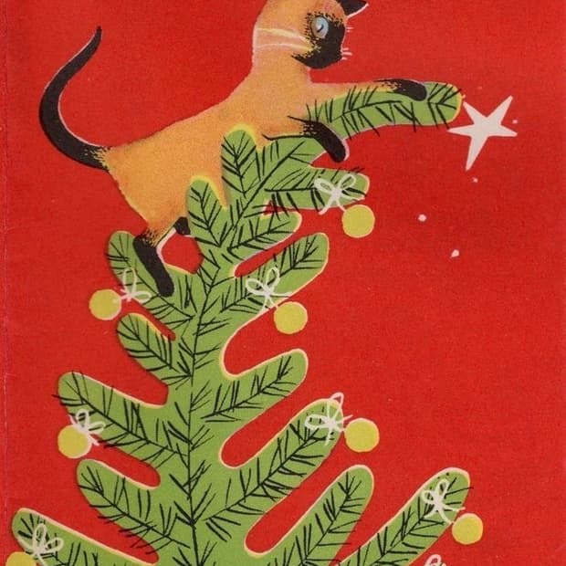 크리스마스 맞이 이벤트 . . . 💥