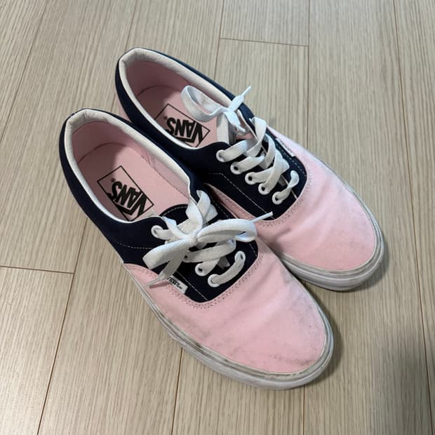 반스 에라 255