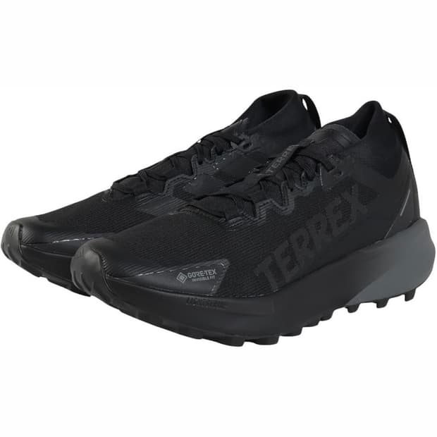 아디다스 테렉스 아그라빅 GTX