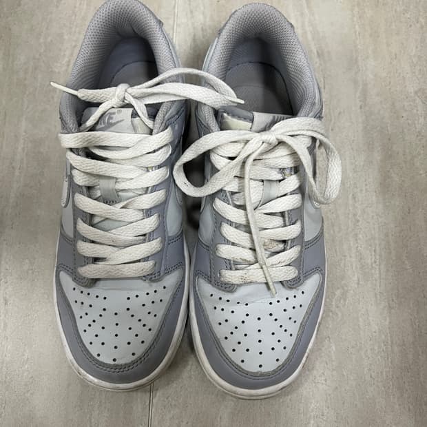 (GS) Nike Dunk Low Wolf Grey 225