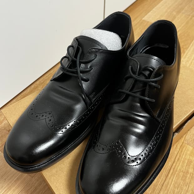 [새 제품]더스팅 남성 윙팁 구두